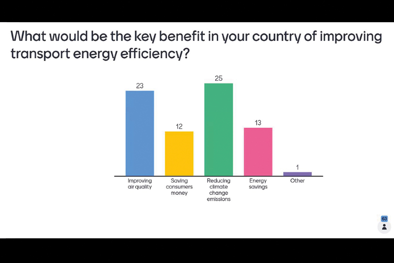 The interactive online training allowed participants to share their views and experiences.